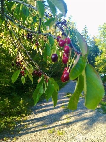 34502 SE 325th Street, Ravensdale, WA 98051