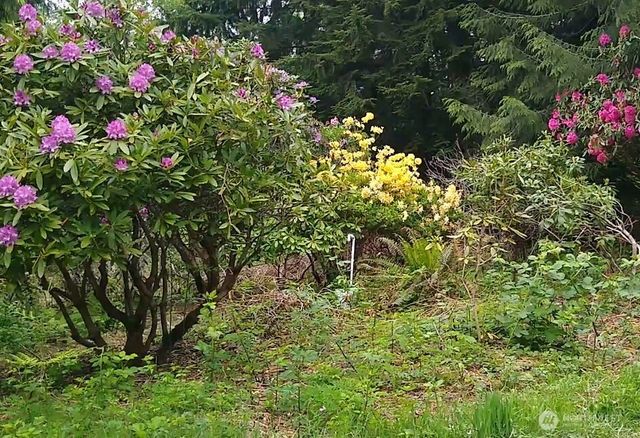 34502 SE 325th Street, Ravensdale, WA 98051