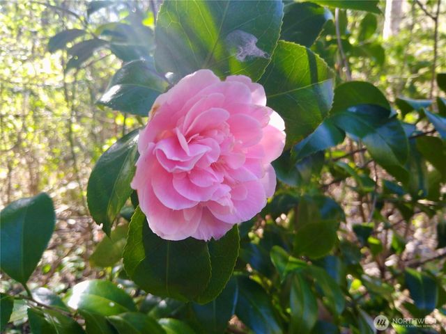 34502 SE 325th Street, Ravensdale, WA 98051