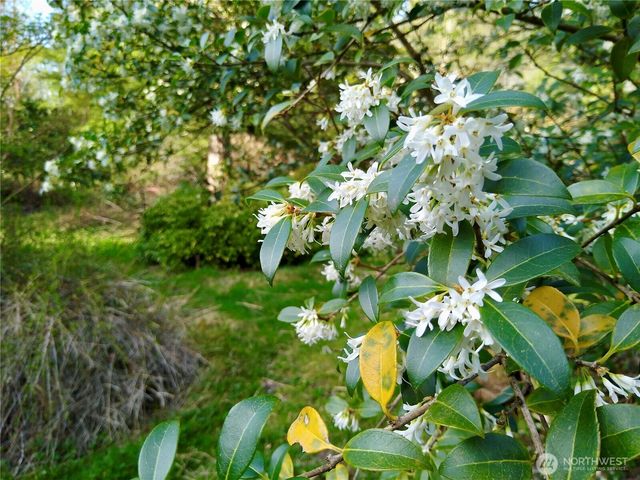 34502 SE 325th Street, Ravensdale, WA 98051