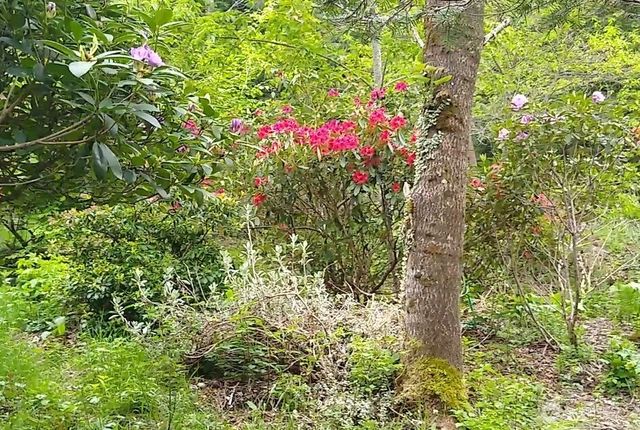 34502 SE 325th Street, Ravensdale, WA 98051