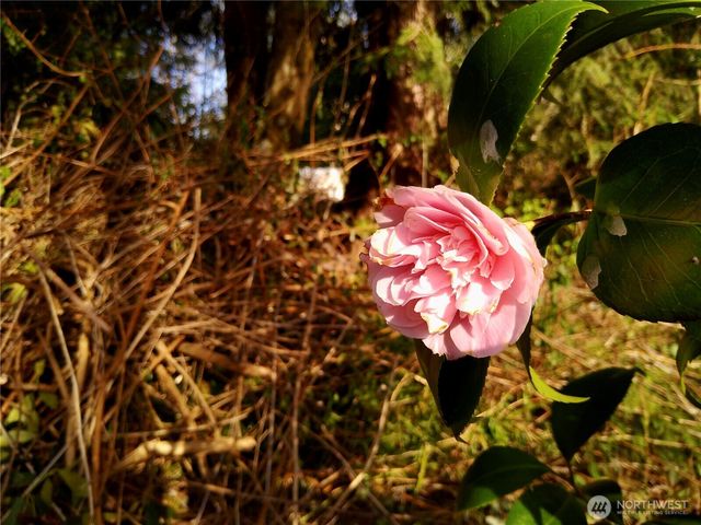 34502 SE 325th Street, Ravensdale, WA 98051