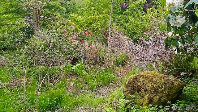 34502 SE 325th Street, Ravensdale, WA 98051