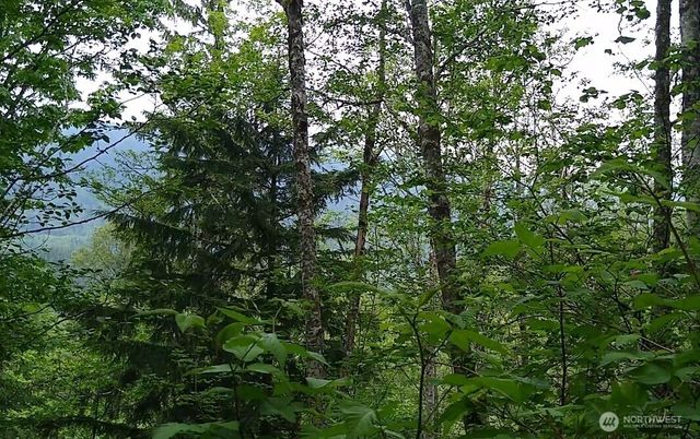 34502 SE 325th Street, Ravensdale, WA 98051