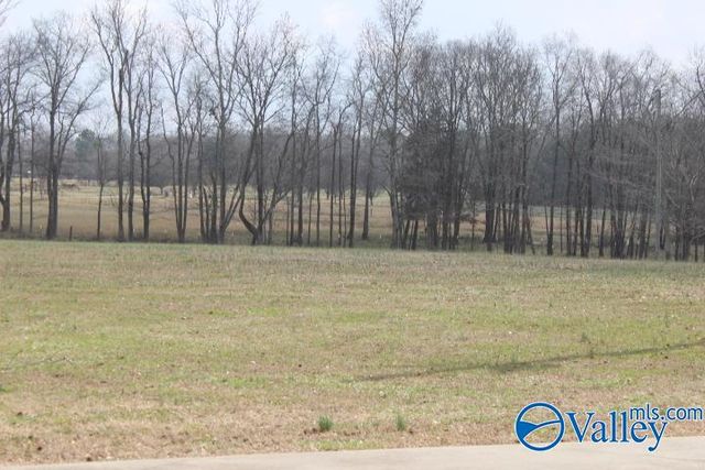 2600 County Road 505, Fort Payne, AL 35968