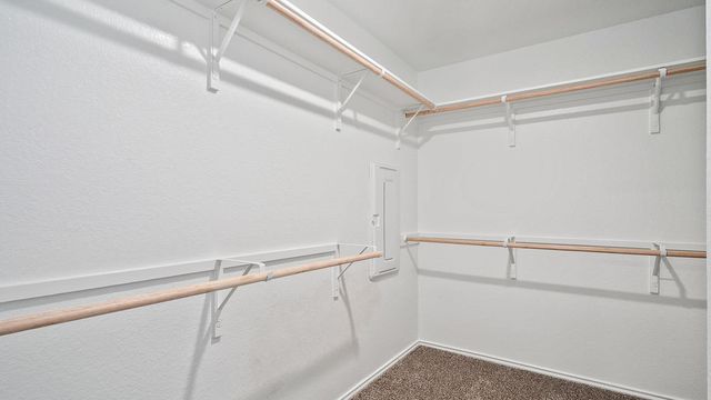 314 Constanza TRL, Bastrop, TX 78602
