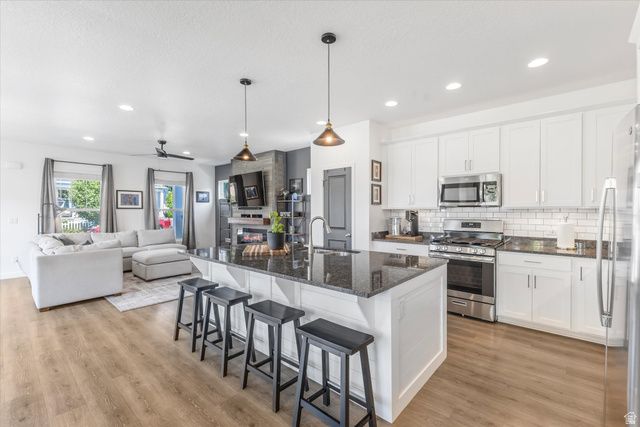 11671 S NIGHT HERON RD, South Jordan, UT 84009