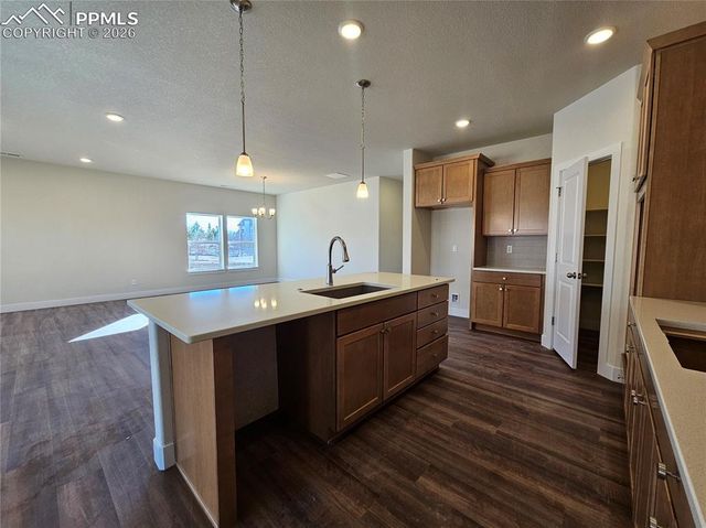 16259 Basset Mill Way, Monument, CO 80132