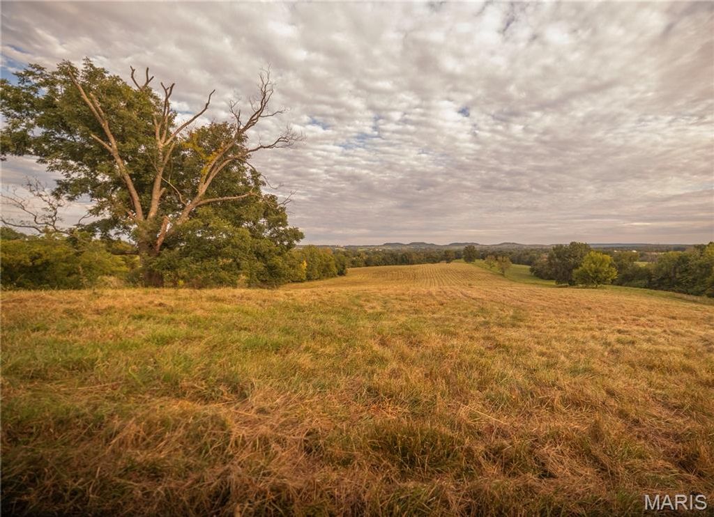 255 Gnade Road, Elsberry, MO 63343