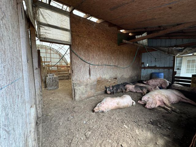 2076 Bald Hill Road, Hillsboro, KY 41049