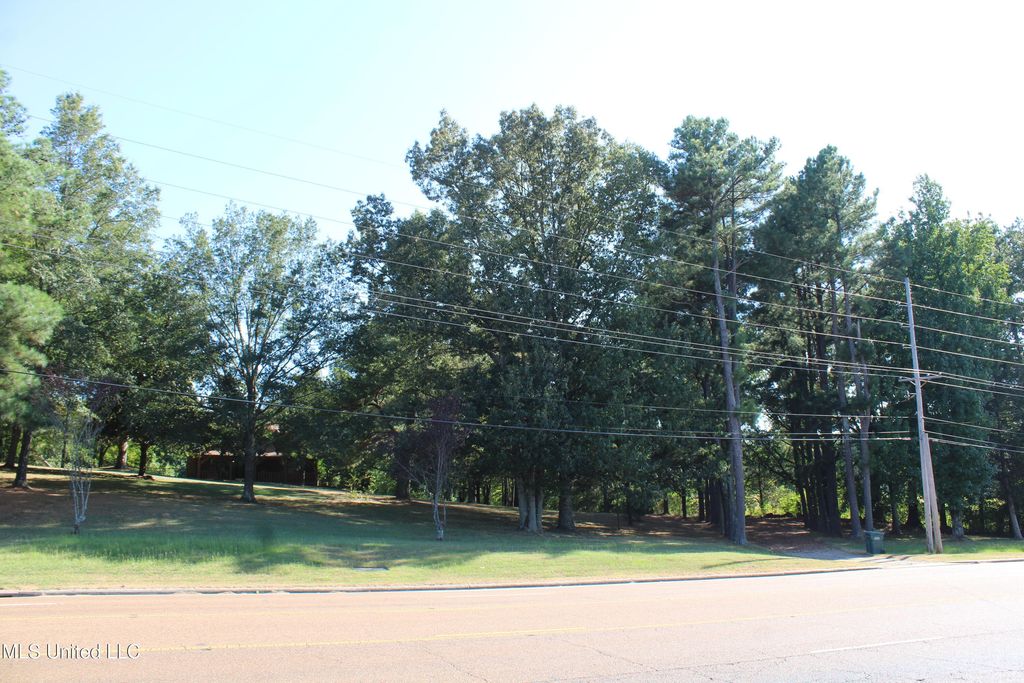 771 W Church Road, Southaven, MS 38671 — photo 2