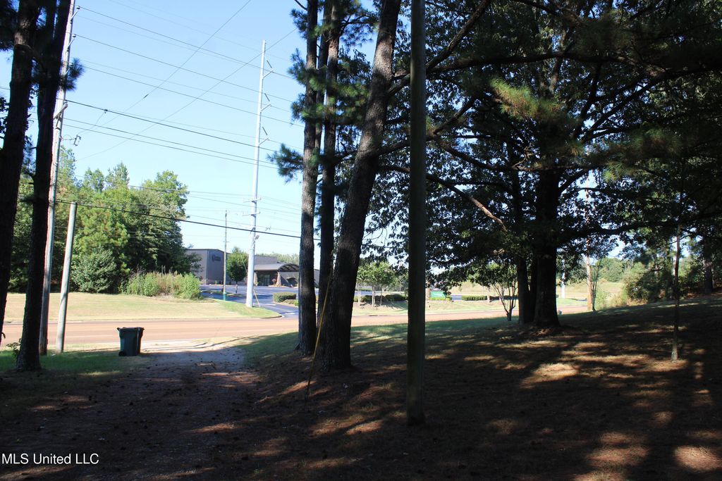 771 W Church Road, Southaven, MS 38671 — photo 3