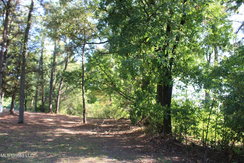771 W Church Road, Southaven, MS 38671 — photo 5