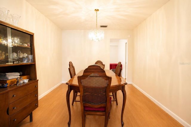 11904 TREVINO PLACE, Tampa, FL 33624