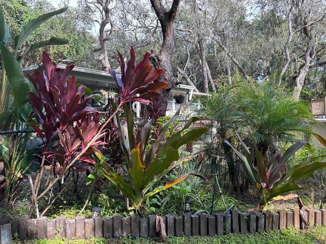 11640 PURDUE STREET, New Port Richey, FL 34654