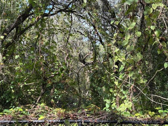 11640 PURDUE STREET, New Port Richey, FL 34654
