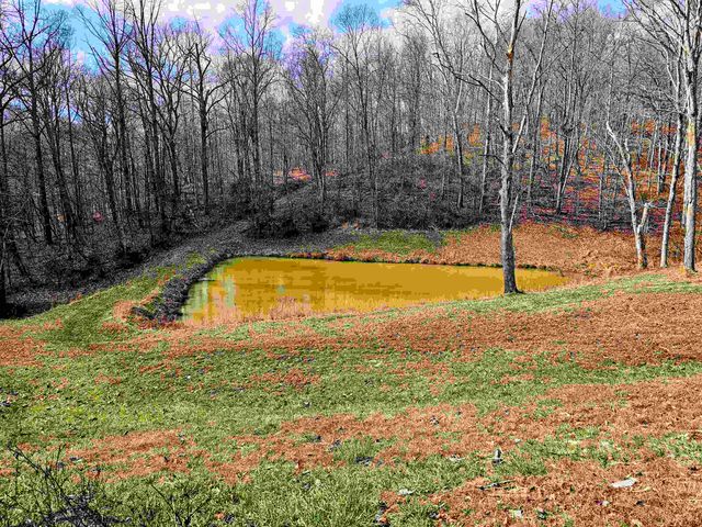 2468 Georges Creek Rd, Gallipolis, OH 45631