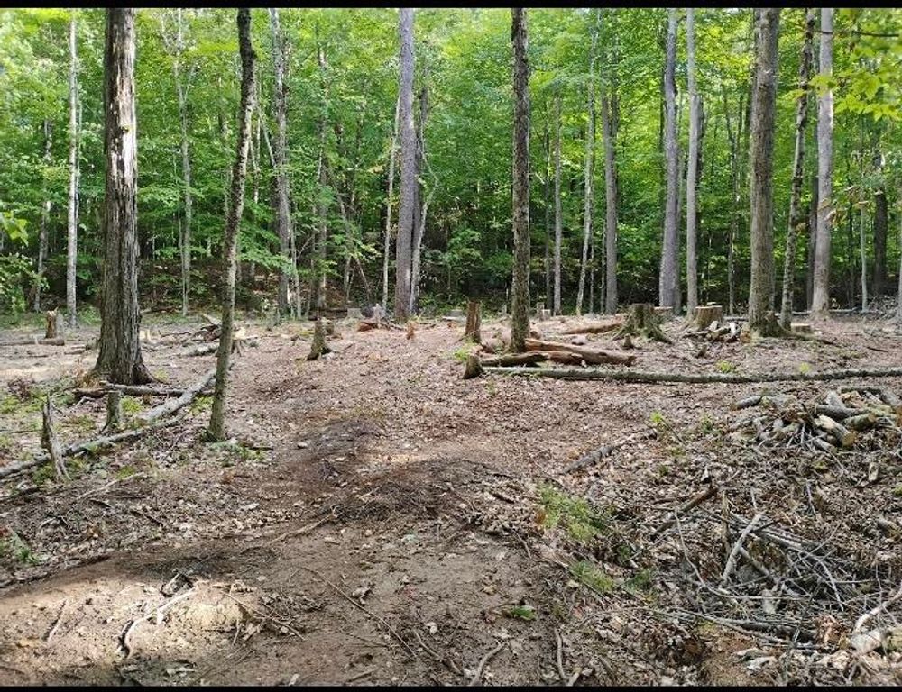 335 Coolidge Drive, Washington, NH 03280
