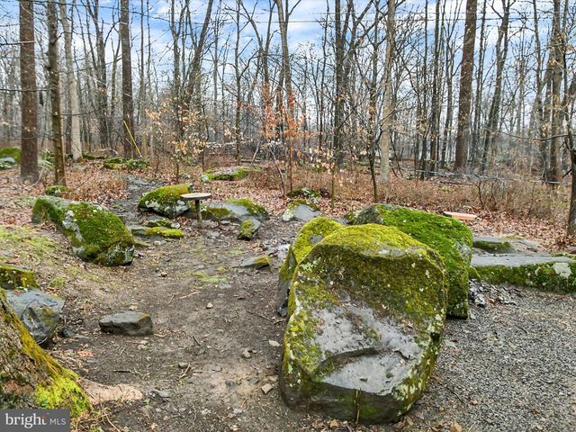 740 LONELY COTTAGE RD, Upper Black Eddy, PA 18972
