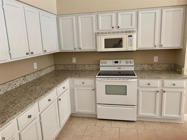 13024 ROYAL GEORGE AVENUE, Odessa, FL 33556