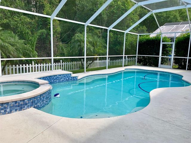 13024 ROYAL GEORGE AVENUE, Odessa, FL 33556