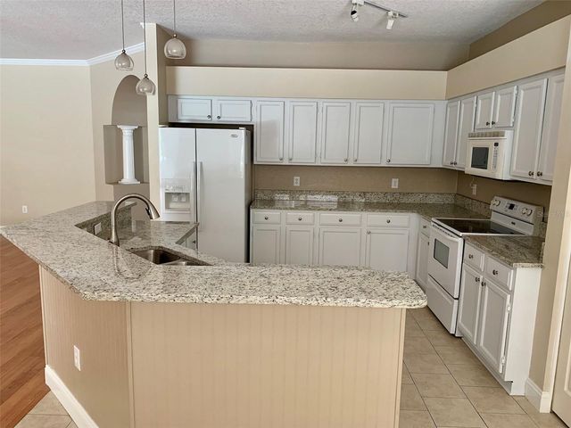 13024 ROYAL GEORGE AVENUE, Odessa, FL 33556