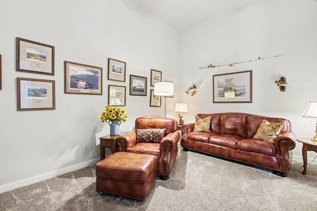 30734 Sunny Meadow Drive, Fulshear, TX 77441