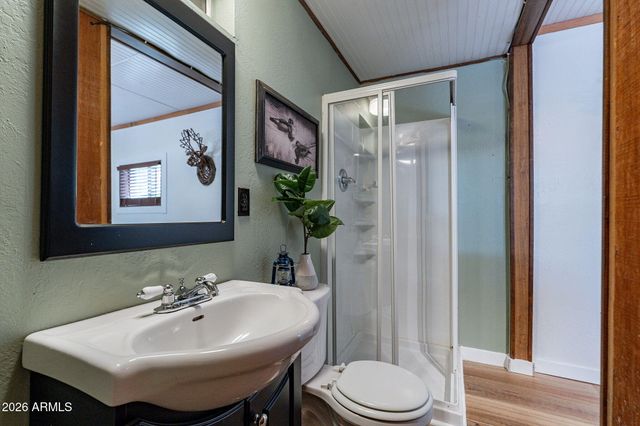 8397 W TURKEY RUN Drive, Pine, AZ 85544