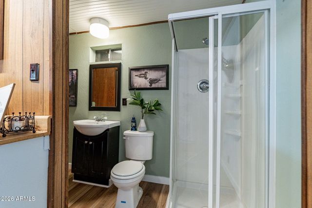 8397 W TURKEY RUN Drive, Pine, AZ 85544