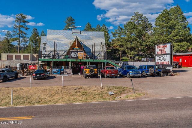 8397 W TURKEY RUN Drive, Pine, AZ 85544