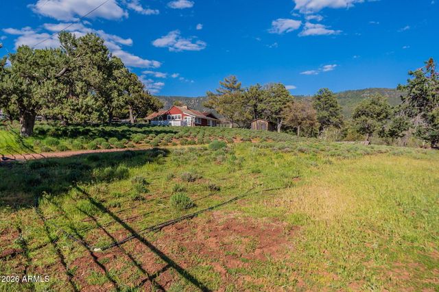 8397 W TURKEY RUN Drive, Pine, AZ 85544