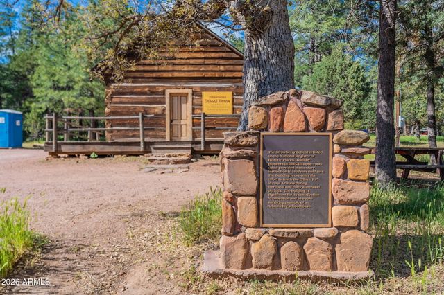 8397 W TURKEY RUN Drive, Pine, AZ 85544