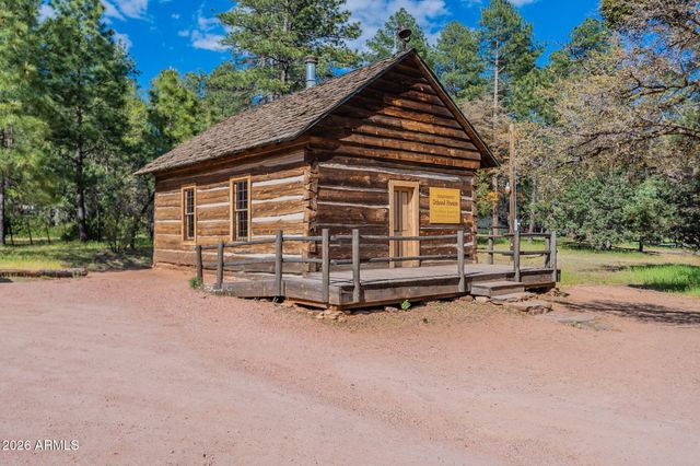 8397 W TURKEY RUN Drive, Pine, AZ 85544