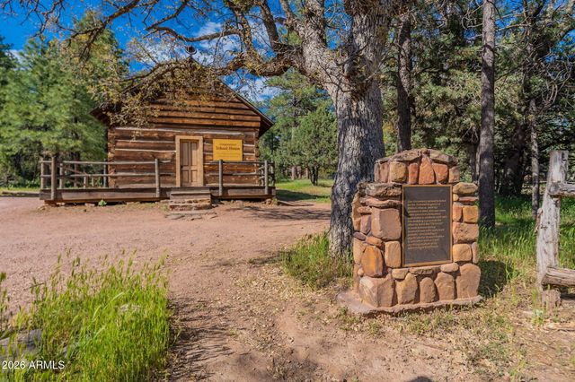 8397 W TURKEY RUN Drive, Pine, AZ 85544