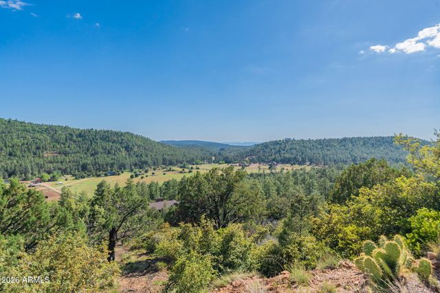 8397 W TURKEY RUN Drive, Pine, AZ 85544