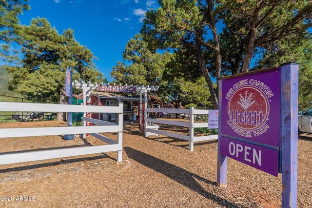 8397 W TURKEY RUN Drive, Pine, AZ 85544