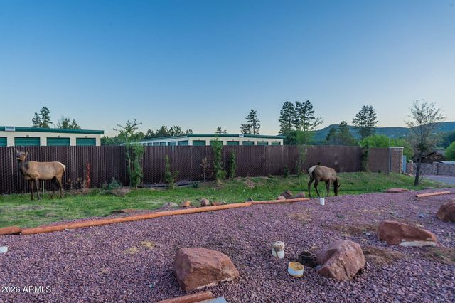 8397 W TURKEY RUN Drive, Pine, AZ 85544