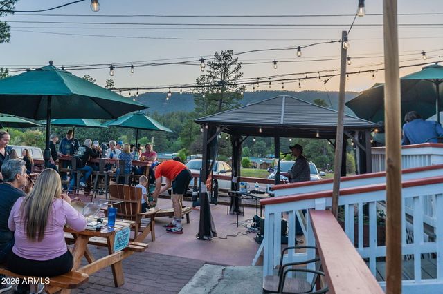 8397 W TURKEY RUN Drive, Pine, AZ 85544