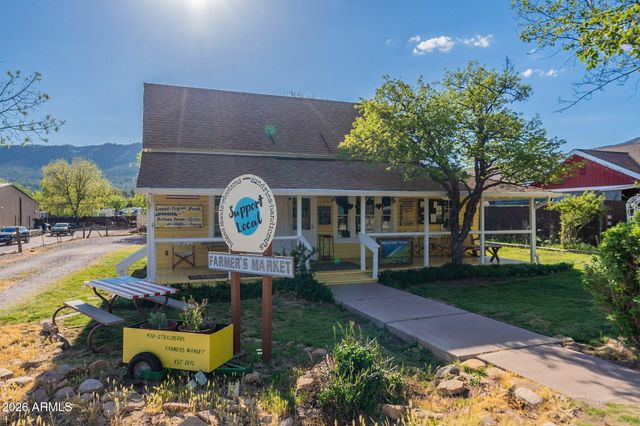 8397 W TURKEY RUN Drive, Pine, AZ 85544