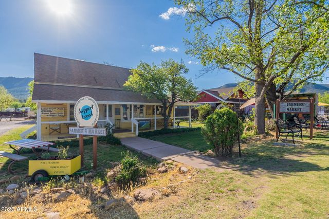 8397 W TURKEY RUN Drive, Pine, AZ 85544