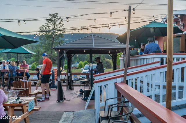 8397 W TURKEY RUN Drive, Pine, AZ 85544