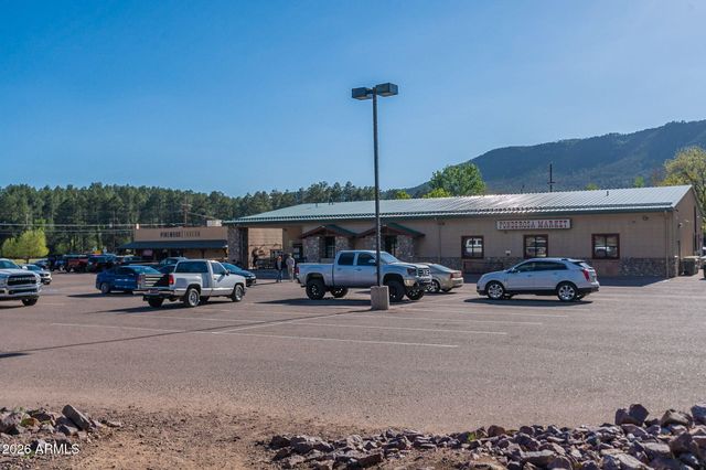 8397 W TURKEY RUN Drive, Pine, AZ 85544