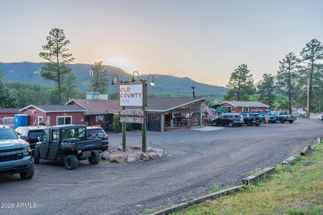 8397 W TURKEY RUN Drive, Pine, AZ 85544