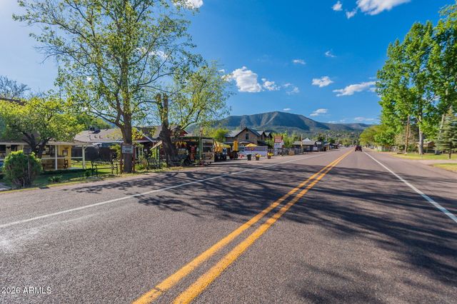 8397 W TURKEY RUN Drive, Pine, AZ 85544