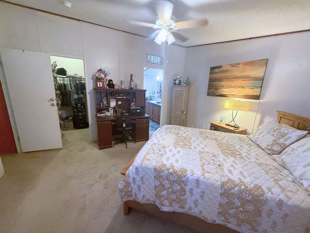 436 Rosemary LOOP, New Braunfels, TX 78130