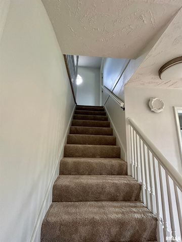 317 S Lu Court, Carbondale, IL 62901