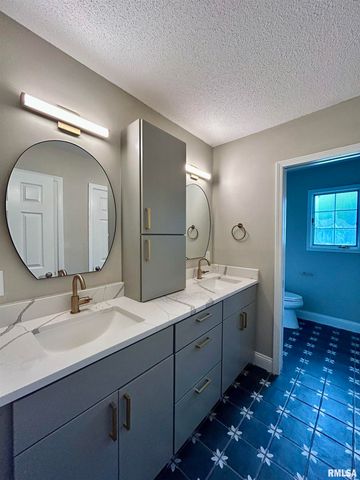 317 S Lu Court, Carbondale, IL 62901