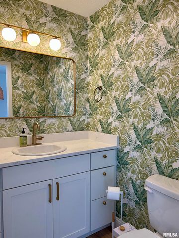 317 S Lu Court, Carbondale, IL 62901