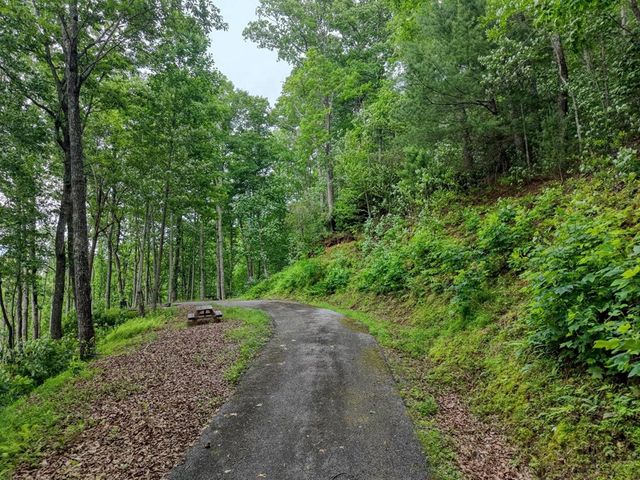 22 Buckhead Hills, Hiawassee, GA 30546