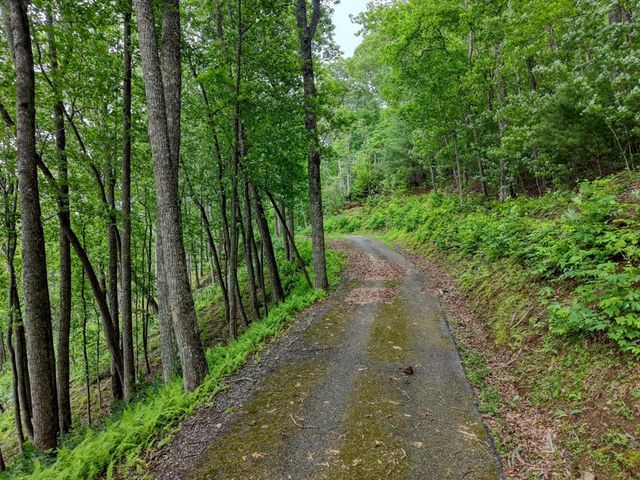 22 Buckhead Hills, Hiawassee, GA 30546